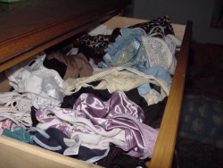 Panty Drawer Adventures