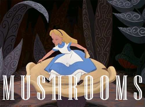 withblackhalls:   Now i know why it’s called “Wonderland” 