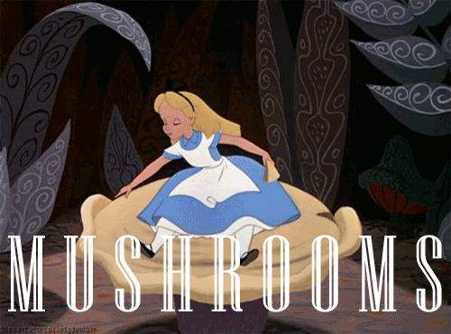 the-jolly-green-giant:  Drugs explained with Alice in wonderland gifs
