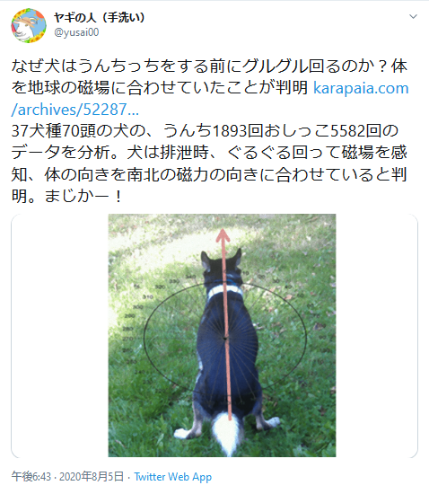 highlandvalley: twitter.com/yusai00/status/1290946536084406273なぜ犬はうんちっちをする前にグルグル回るのか？体を地球の磁場