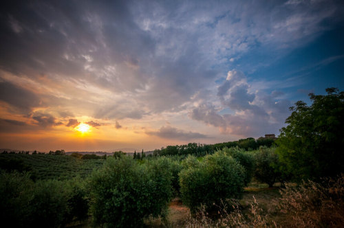 Photography by Visioni ItalianeLocation: Tuscany, Italy If you enjoy it, please consider supporting 