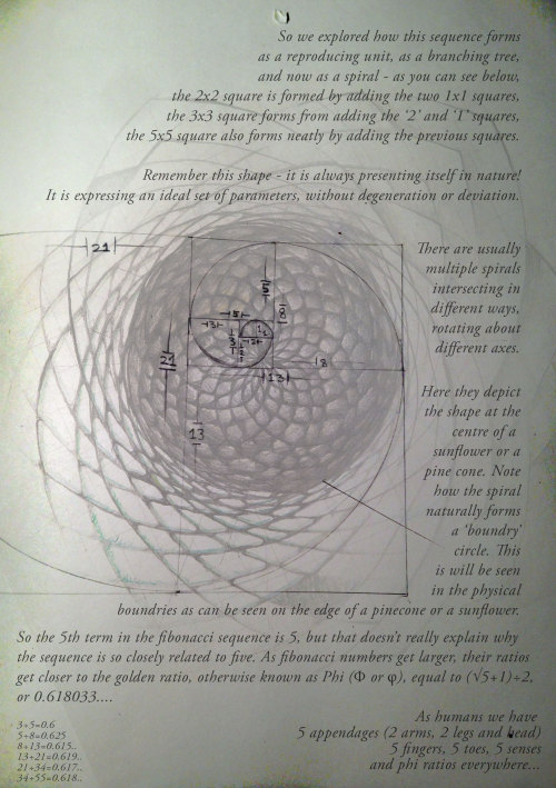 Fibonacci - A sequence on the path to Phi, the Golden Ratio - or at least, it’s one way how Ph