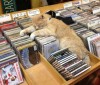 catasters: