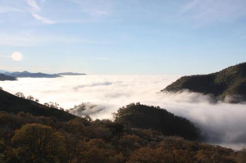 Of mist and nuts&hellip;California remains, despite its current drought, one of the main source 