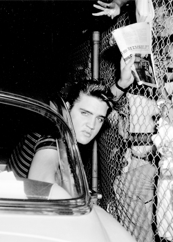  Elvis at the Los Angeles airport, August 16, 1956. 