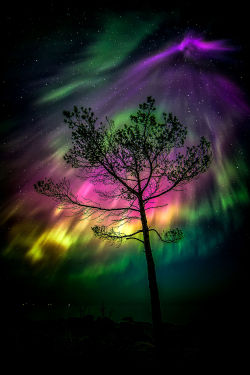 lori-rocks:  Amazing Night In Emäsalo Finland..by