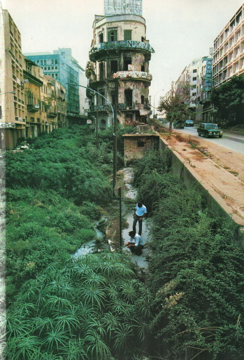 endilletante: National Geographic, february 1983, Beirut, up from the rubble, photographs by Steve M