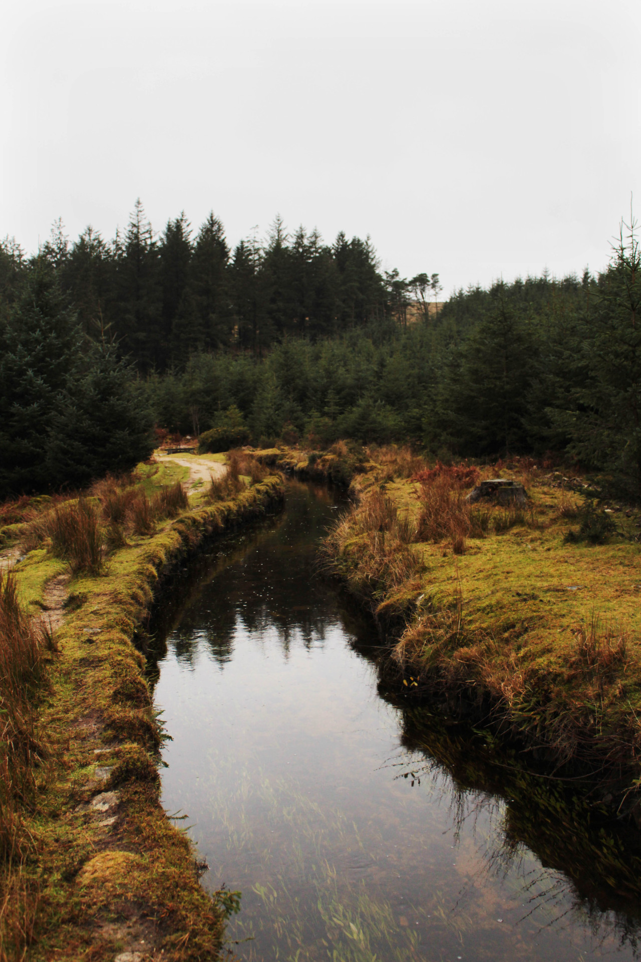 graymanphotography:  lovely reflections in the leat 