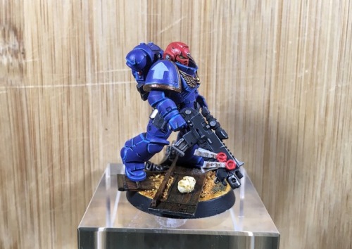 Primaries intercessor sergeant