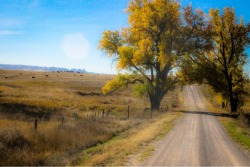 dusty-boots:  Country roads take me home…