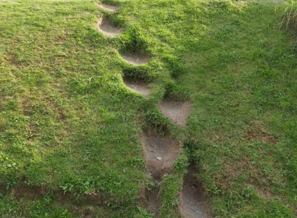 tunashei:teathattast:I love desire paths. adult photos