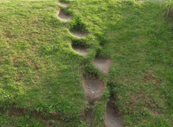 tunashei:teathattast:I love desire paths. porn pictures
