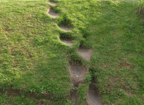 XXX tunashei:teathattast:I love desire paths. photo