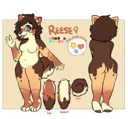 makaroonii:  i finally made a ref for an