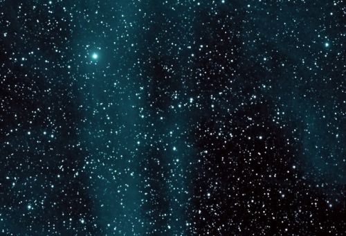 wonders-of-the-cosmos:Comet C/2014 Q2 Lovejoy and the Pleiades Image credit: Joseph BrimacombeThis i
