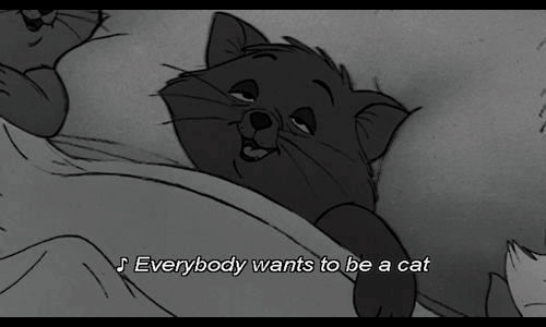 rap3-m3-again:  Everybody wants to be a cat