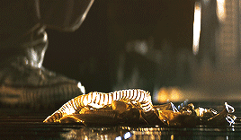erikno: I can’t lie to you about your chances, but… you have my sympathies. Alien (1979)dir. Ridley Scott 