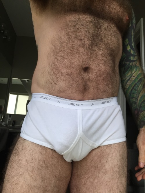 pup-sleeves-underwear-pics:  Pup in His Jockey porn pictures