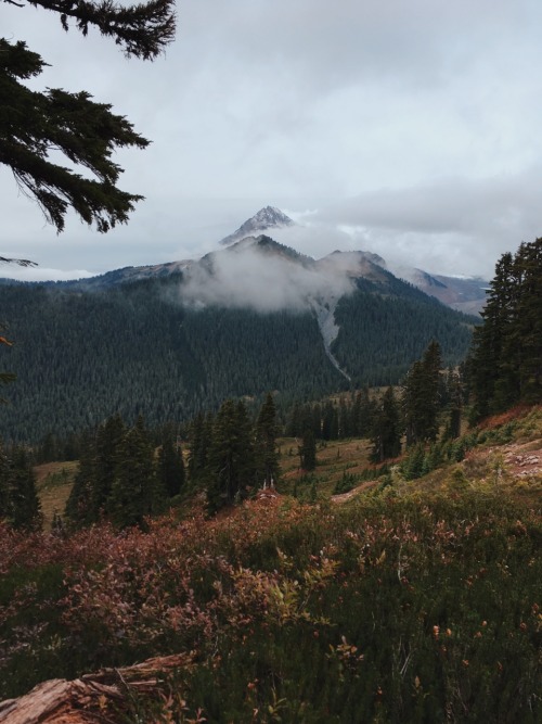 framed by nature