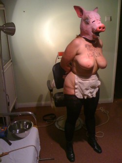 white-slave:  fatslaves:Pigs who know what