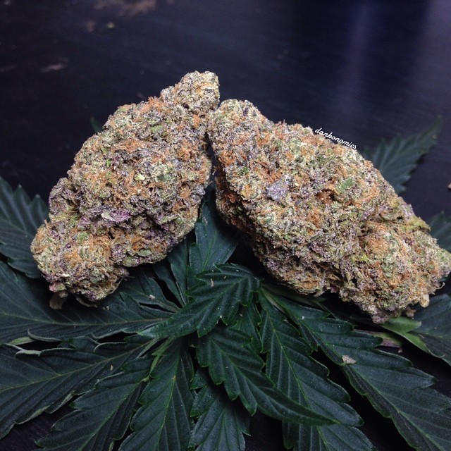 weedporndaily:  🍇🙈Grape Ape🙈🍇  by dankonomics http://ift.tt/1y9XM1b