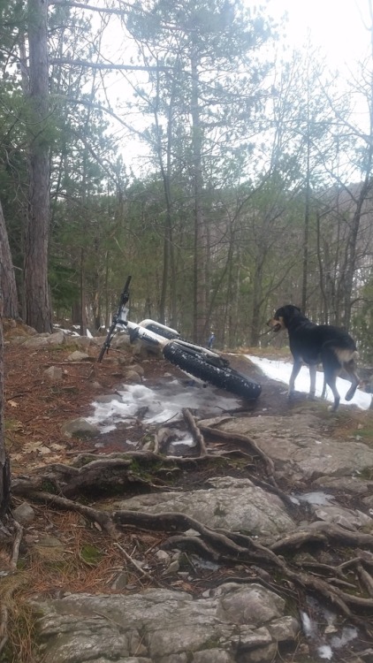 fatbiketravelers: The snow is melting. Marquette, MI