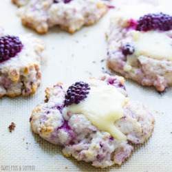 bakeddd:  blackberry walnut and brie scones