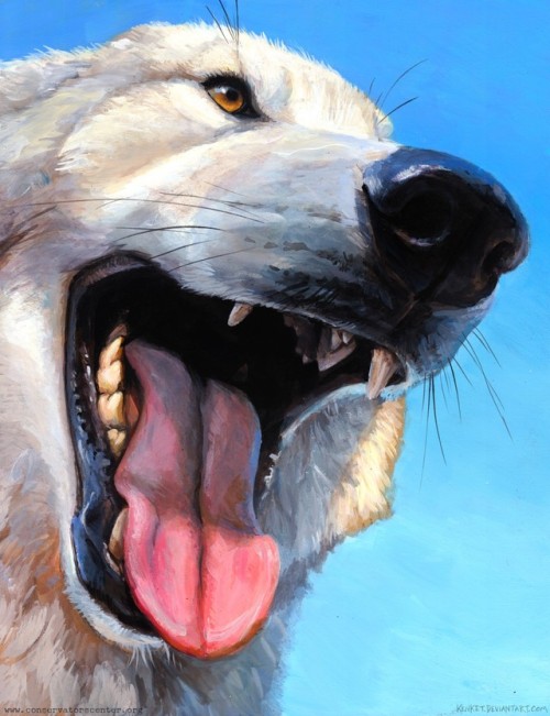 wolf painting