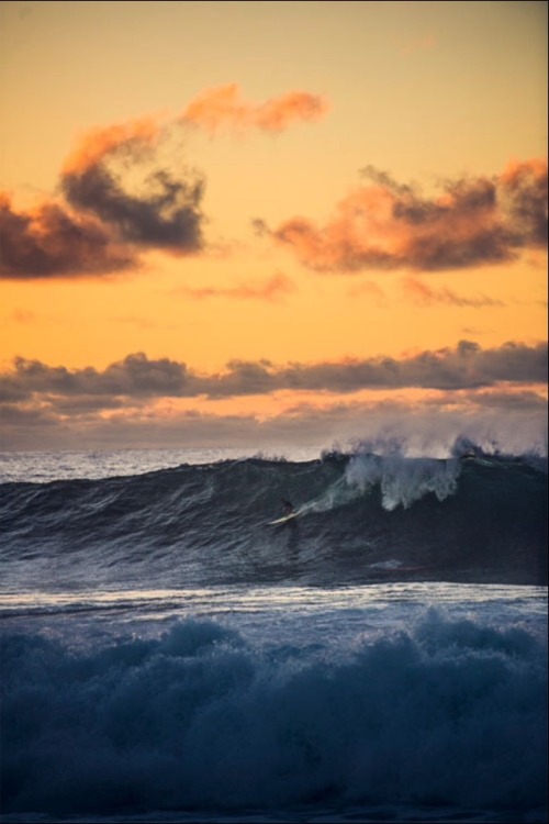 surferofsin.tumblr.com/post/78772845303/