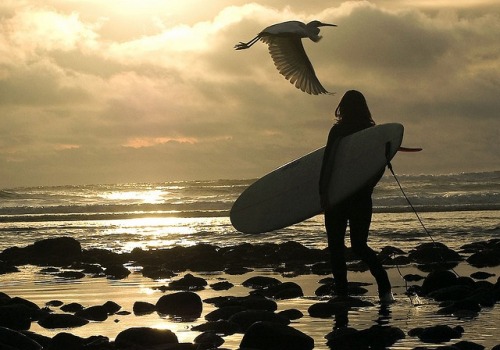 l20music:cultureunseen:Brown Girl Surfwww.browngirlsurf.com/twitter.com/browngirlsurf