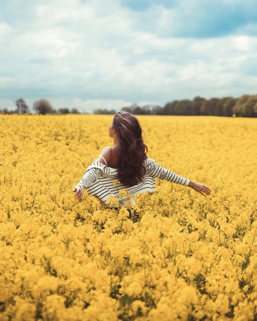 Fields of gold | by Rosie