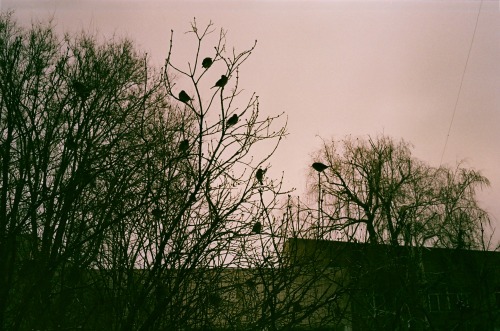 Gloomy Days Captured On Film