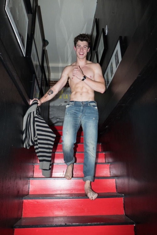  Shawn Mendes  
