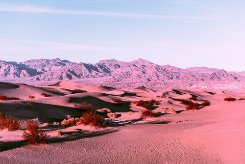 Porn leahberman: dusky desert death valley national photos