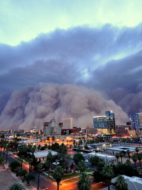 nichvlas:  Phoenix Dust Storm (by daniel_bryant)