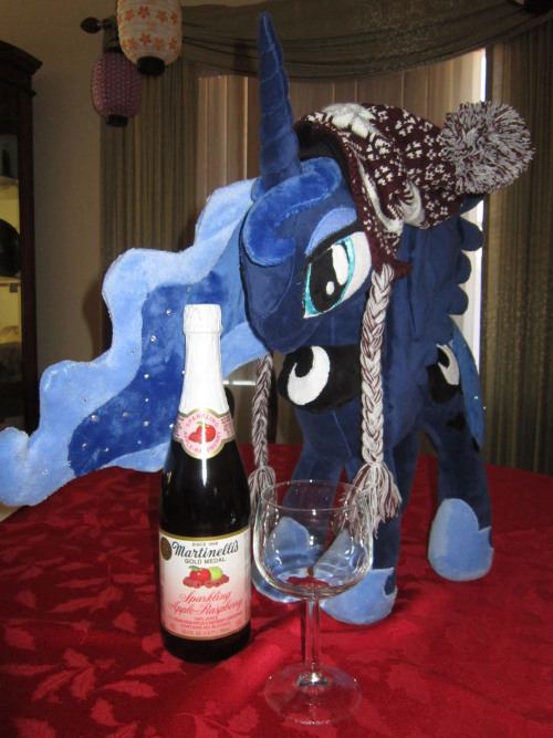 Luna wants to celebrate the New Year a bit earlier!