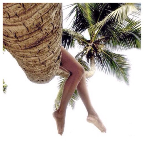 Palms and pins ☼ #castaway (at www.castawaylabel.com)