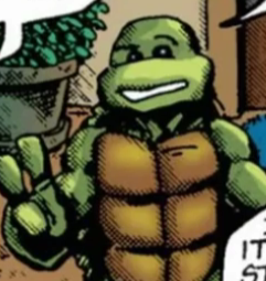 Mirage Turtles Without Masks >>>>