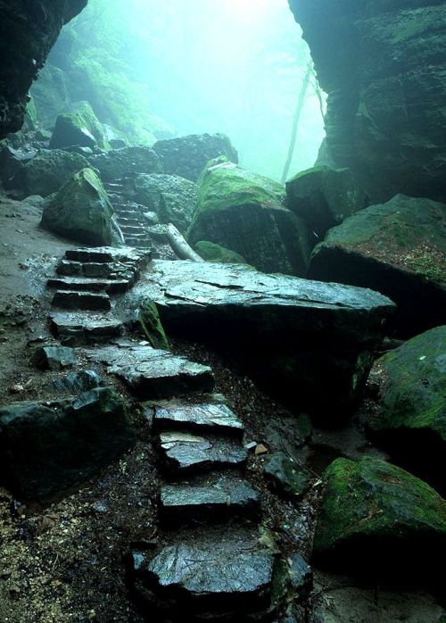 themagentabohemiansoup:lori-rocks:the ice age trail, wisconsin, via pinterest Image of Adoration…