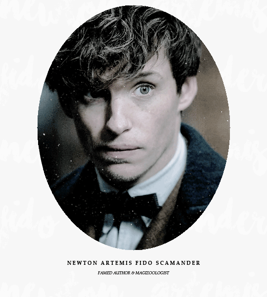 fantasticbeasts:newt scamander: famed author and magizoologist