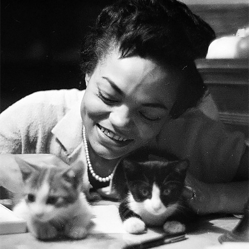 Eartha Kitt. Photographed by Gordon Parks. (1952)