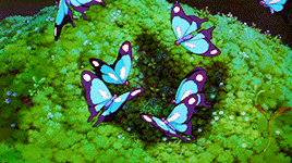 dreampixi3:  Dreampixi3′s Big Ghibli Adventure: [1/∞] ~ Princess MononokeLife