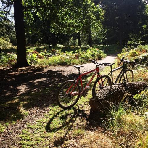 mercianmatt: Taking the Cannondale’s out for a spin #cycling #offroad #cad2 #caadx #cyclocross #mtb 