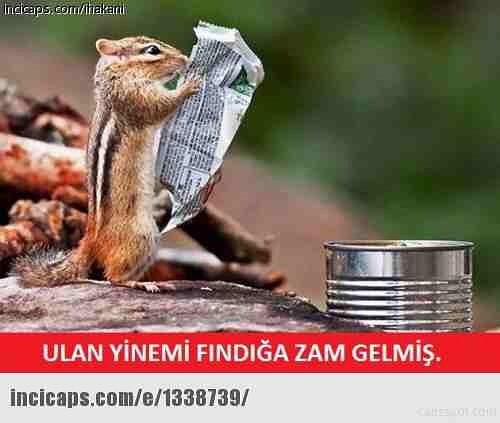 ULAN YİNEMİ FINDIĞA ZAM...