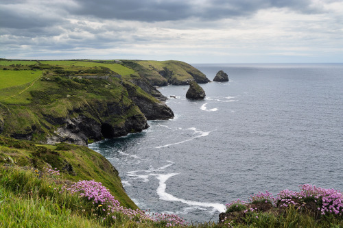 mycornishplace:Coast between Boscastle and Tintagel