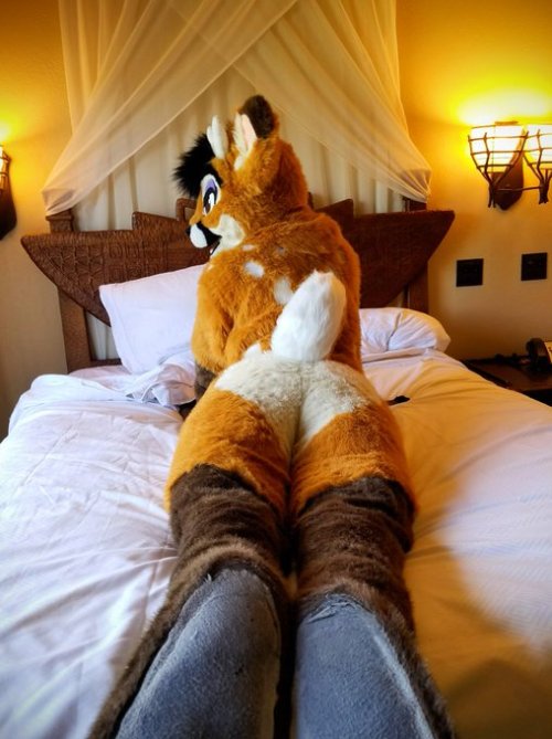 Sex fursuitpursuits:RT @alittlefawn: I don’t pictures