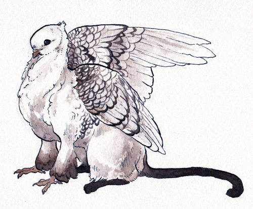 commanderholly:  combjellies:  Finals are done and I have time to doodle for myself, so… fancy griffins! Jacobin pigeon x Japanese bobtail Satinette pigeon x Siamese Lahore pigeon x Abyssinian   perfect 
