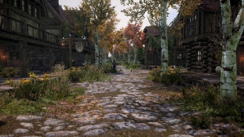 Hey, it’s been a good while since I’ve posted here, but I recently made a SE guide to town mods, muc