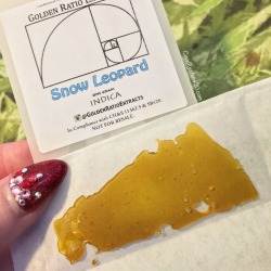 coralreefer420:  Snow Leopard. 