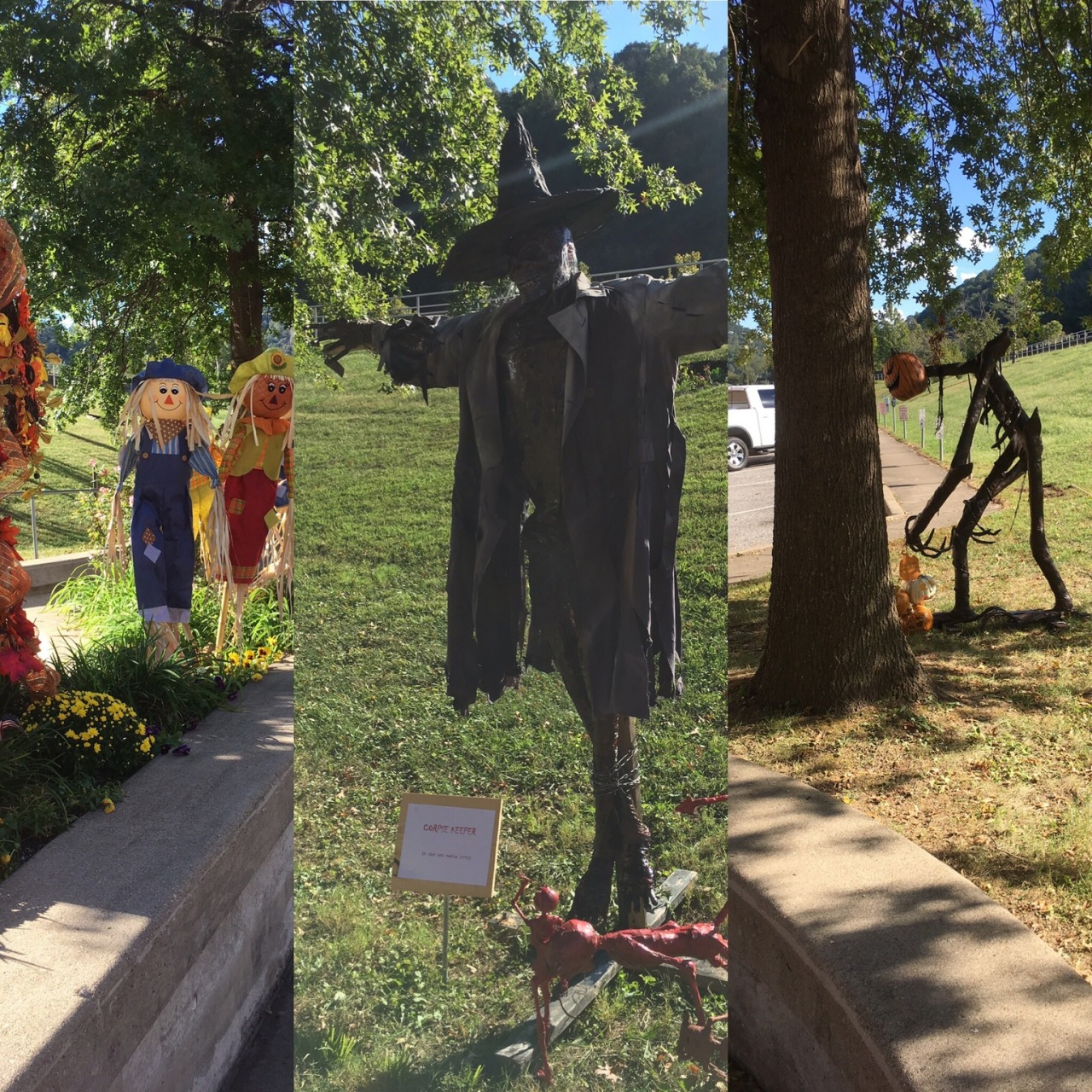 slbtumblng:  sixpenceee:   “Our  town had a scarecrow contest at the courthouse.